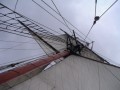 Le renard 18082003 012 * Navigation  la voile * 2048 x 1536 * (717KB)